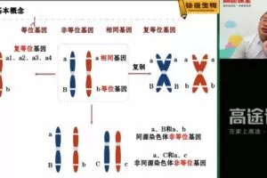 徐京 高三生物2021年秋季班