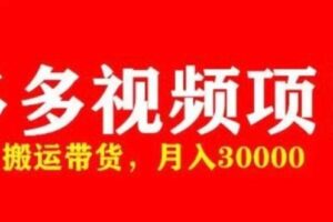 多多带货视频快速50爆款拿带货资格，搬运带货，月入30000【全套脚本+详细玩法】