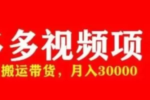 多多带货视频快速50爆款拿带货资格，搬运带货，月入30000【全套脚本+详细玩法】