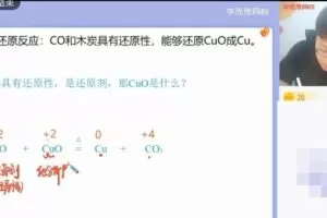 【2021-暑】高一化学目标S张成鑫【完结】