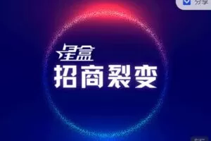 【捐赠[红包]29.99·《AL3019-星盒【招商裂变】实战教程》】