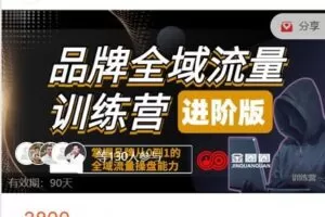 【捐赠[红包]69.99·《AL4840-金圈圈商学院-品牌流量训练营(进阶版)》】