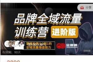 【捐赠[红包]69.99·《AL4840-金圈圈商学院-品牌流量训练营(进阶版)》】