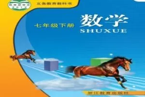 【捐赠[红包]29.90·《YL2513-点线面文化传媒-数学郑老师七年级下册数学课本速通》】