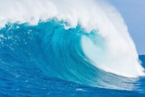 【捐赠[红包]25.00·《Z5887-王陶陶的知识分享-王陶陶政策风险评估2022》】