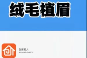 【26[红包]·S4805最新绒毛植眉技术在线学习】