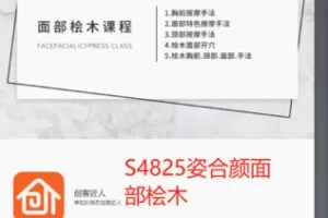 【49[红包]·S4825姿合颜面部桧木】