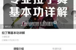 【29[红包]·S4178拉丁舞基本功详解】