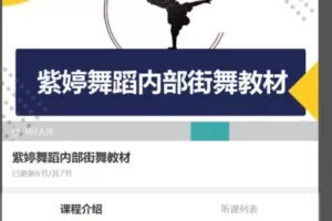 【38[红包]·S4179【缺一节】紫婷舞蹈内部街舞教材】