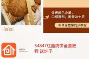 89[红包]·S4847红盖烧饼全套教程 送炉子】