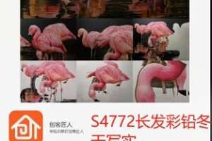 【19[红包]·S4772长发彩铅冬天写实】
