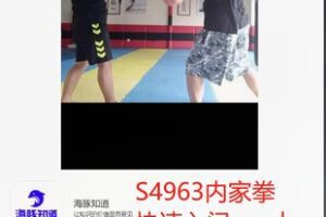 【28[红包]·S4963内家拳快速入门—-十五天鞭子劲】