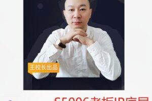 【29[红包]·S5006老板IP底层逻辑训练课程】