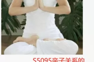 【22[红包]·S5095亲子关系的心理干预冥想】