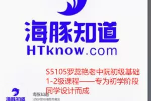 【19[红包]·S5105罗蕊艳老中阮初级基础1-2级课程——专为初学阶段同学设计而成】