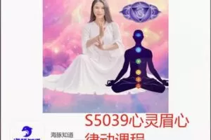 【26[红包]·S5039心灵眉心律动课程】
