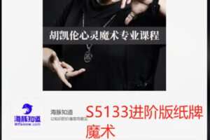 【19[红包]·S5133进阶版纸牌魔术】