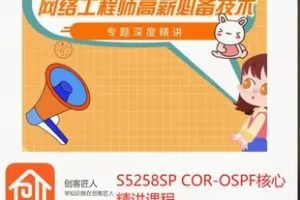 【35[红包]·S5258SP COR-OSPF核心精讲课程】