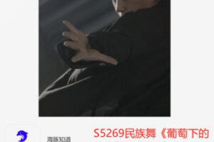 【12[红包]·S5269民族舞《葡萄下的篝火》教学课件】