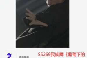 【12[红包]·S5269民族舞《葡萄下的篝火》教学课件】