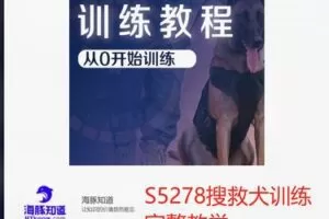 【48[红包]·S5278搜救犬训练完整教学】