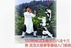 【18[红包]·S5280武当太极五行八法十三势 武当太极拳零基础入门系统教学】