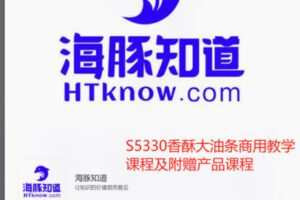 【22[红包]·S5330香酥大油条商用教学课程及附赠产品课程】