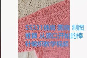 【19[红包]·S5331插肩 圆肩 制图推算 从领口开始的棒针编织教学视频】