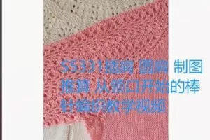 【19[红包]·S5331插肩 圆肩 制图推算 从领口开始的棒针编织教学视频】