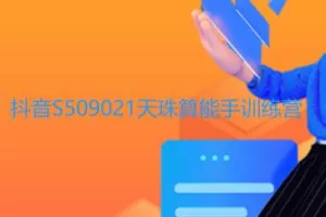 【28[红包]·S509021天珠算能手训练营】
