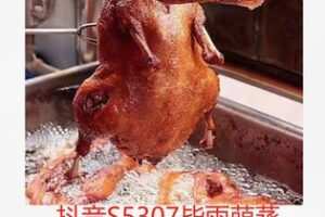 【29[红包]·S5307毕雨萌蒸香鸭 商业版教学】