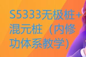 【19[红包]·S5333无极桩+混元桩（内修功体系教学）】