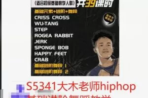 【26[红包]·S5341大木老师hiphop基础进阶舞蹈教学】