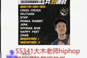 【26[红包]·S5341大木老师hiphop基础进阶舞蹈教学】