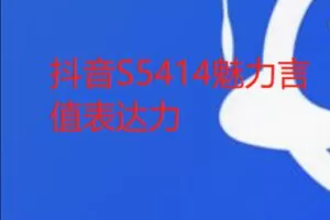 【12[红包]·S5414魅力言值表达力】