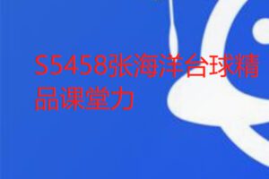 【17[红包]·S5458张海洋台球精品课堂】