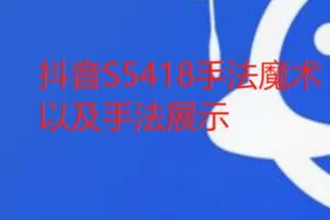 【28[红包]·S5418手法魔术以及手法展示】