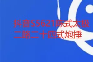 【12[红包]·S5621陈式太极二路二十四式炮捶】