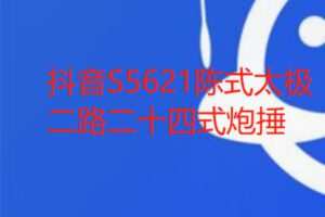 【12[红包]·S5621陈式太极二路二十四式炮捶】