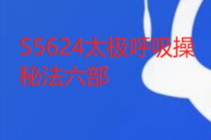 【22[红包]·S5624太极呼吸操秘法六部】