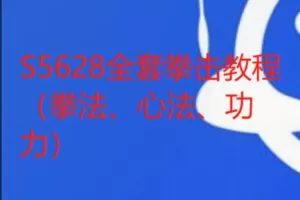 【35[红包]·S5628全套拳击教程（拳法、心法、功力）】