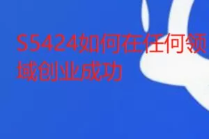 【46[红包]·S5424如何在任何领域创业成功】