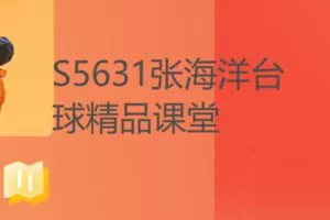 【17[红包]·S5631张海洋台球精品课堂】