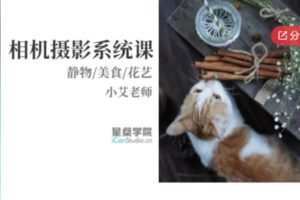 【50[红包]·S5701相机静物/美食摄影系统课.小艾】