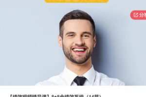 【20[红包]·S5689【绩效视频精品课】8+8全绩效系统（14节）】