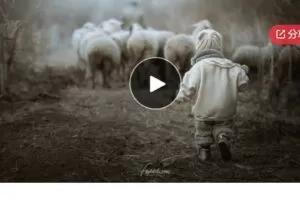 【30[红包]·S5684场景系统课第一期：郊外果木林】