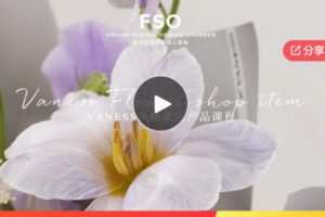 【19[红包]·S5940【韩国外教老师课程】Vaness–Vaness风格花店产品课程】