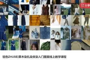 【18[红包]·S6059驻色ZHUSE|草木染扎染夹染入门图案线上教学课程】