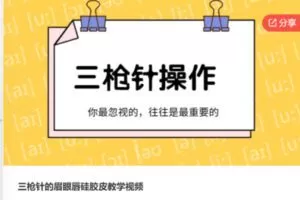 【12[红包]·S6069三枪针的眉眼唇硅胶皮教学视频】