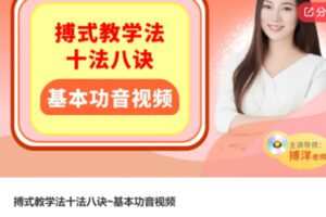 【59[红包]·S6089搏式教学法十法八诀~基本功音视频】